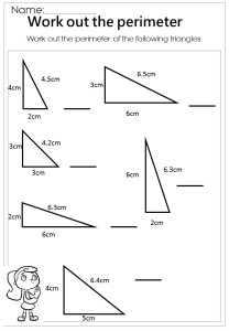 measure the perimeter triangle worksheet